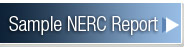 View Sample NERC Report