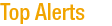 Top Alerts