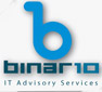 Binar10 logo