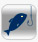 Phishing Tool