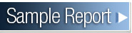 View a sample SAINTexploit report